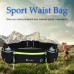 Waist Bag Running Belt with Water Bottles Phone Bag Waterproof for Sport Fitness